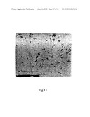 MICROPARTICLES AND METHOD OF MAKING MICROPARTICLES diagram and image