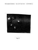 MICROPARTICLES AND METHOD OF MAKING MICROPARTICLES diagram and image