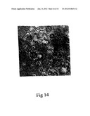 MICROPARTICLES AND METHOD OF MAKING MICROPARTICLES diagram and image