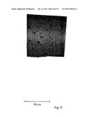 MICROPARTICLES AND METHOD OF MAKING MICROPARTICLES diagram and image