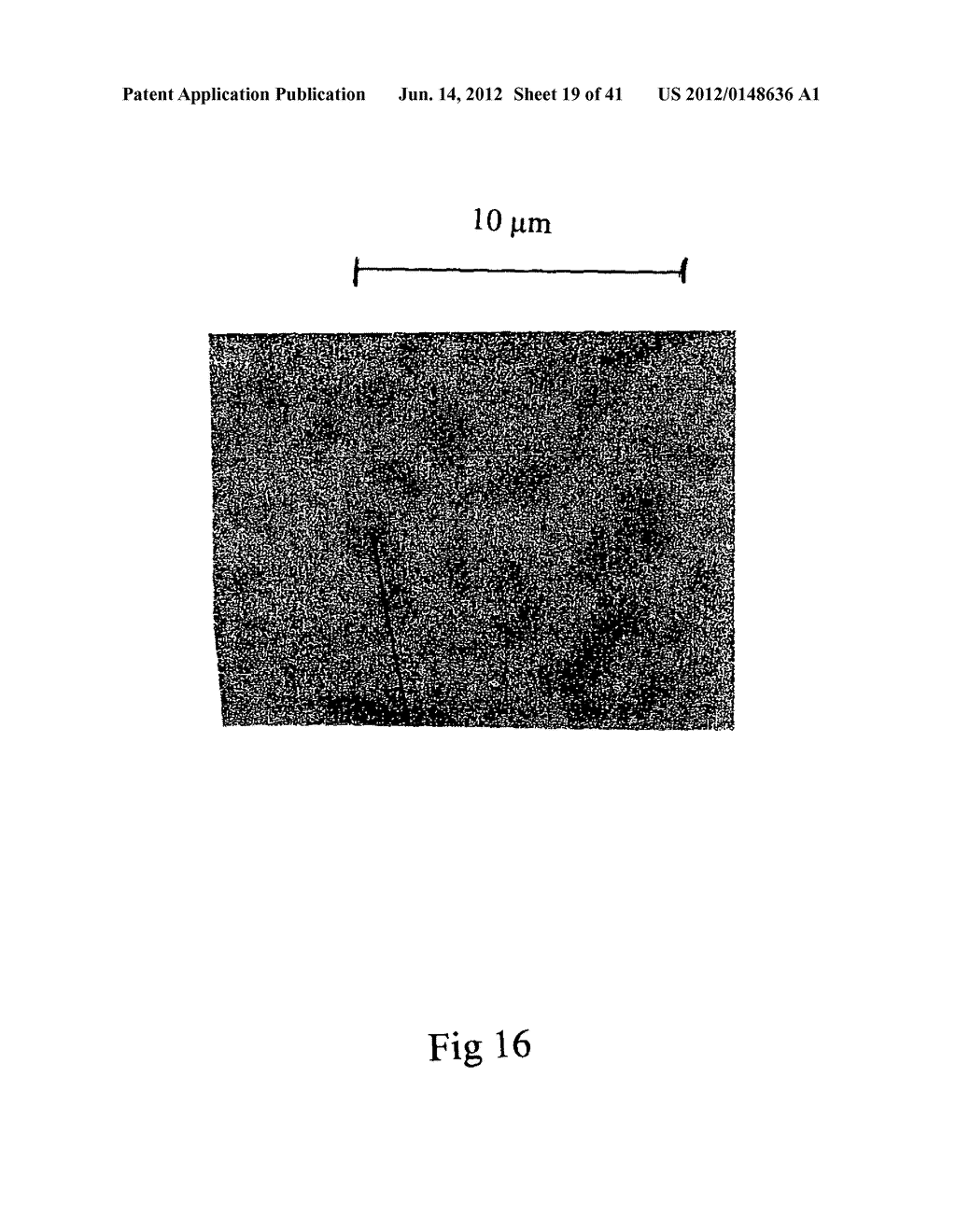 MICROPARTICLES AND METHOD OF MAKING MICROPARTICLES - diagram, schematic, and image 20