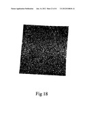 MICROPARTICLES AND METHOD OF MAKING MICROPARTICLES diagram and image