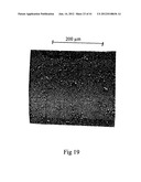 MICROPARTICLES AND METHOD OF MAKING MICROPARTICLES diagram and image