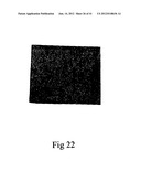 MICROPARTICLES AND METHOD OF MAKING MICROPARTICLES diagram and image