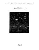 MICROPARTICLES AND METHOD OF MAKING MICROPARTICLES diagram and image