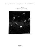 MICROPARTICLES AND METHOD OF MAKING MICROPARTICLES diagram and image