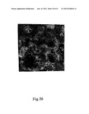 MICROPARTICLES AND METHOD OF MAKING MICROPARTICLES diagram and image