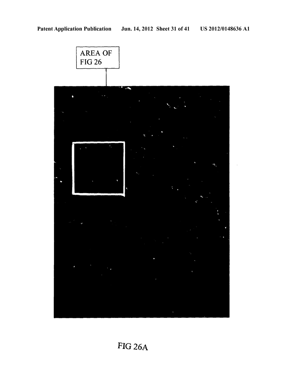 MICROPARTICLES AND METHOD OF MAKING MICROPARTICLES - diagram, schematic, and image 32