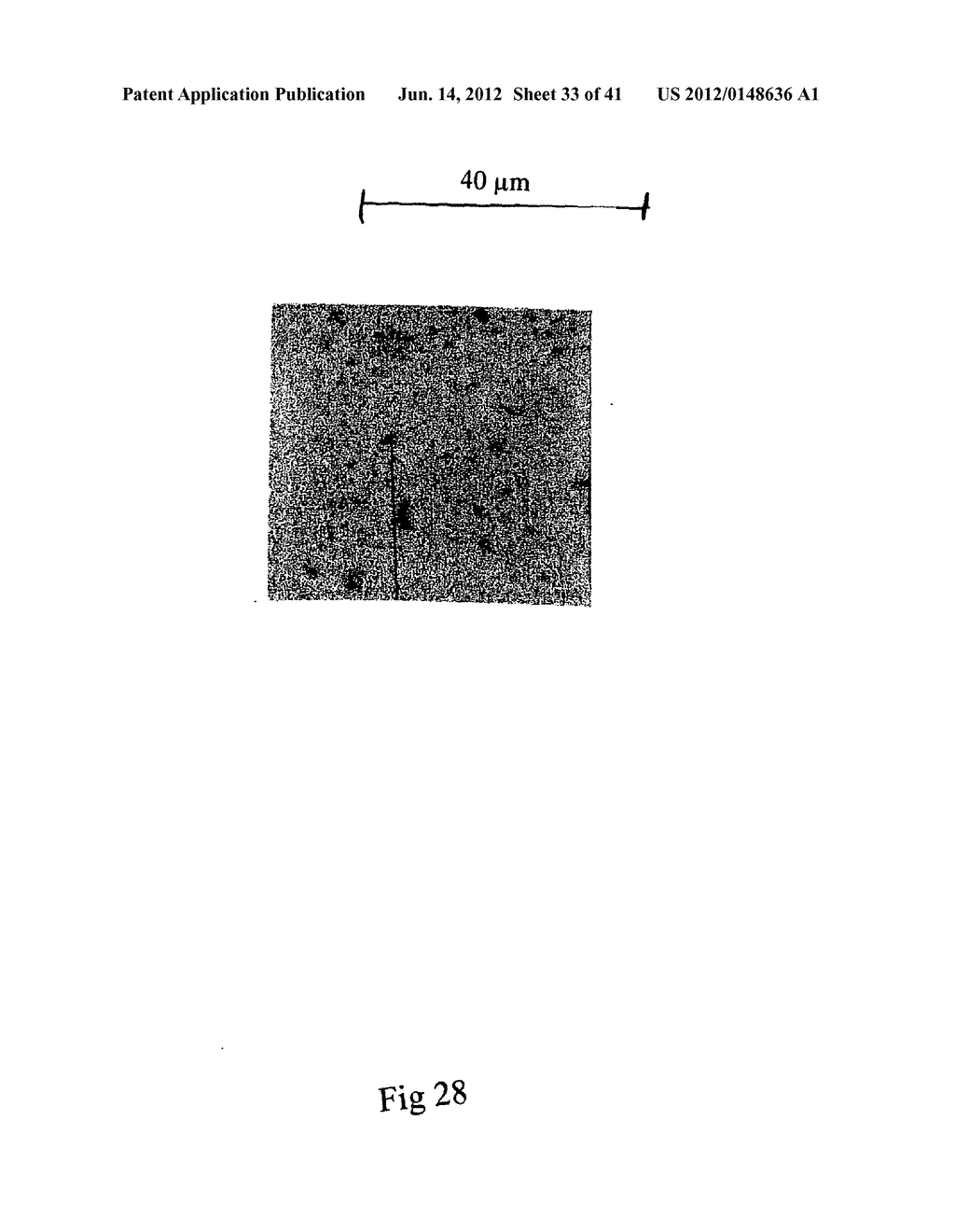 MICROPARTICLES AND METHOD OF MAKING MICROPARTICLES - diagram, schematic, and image 34