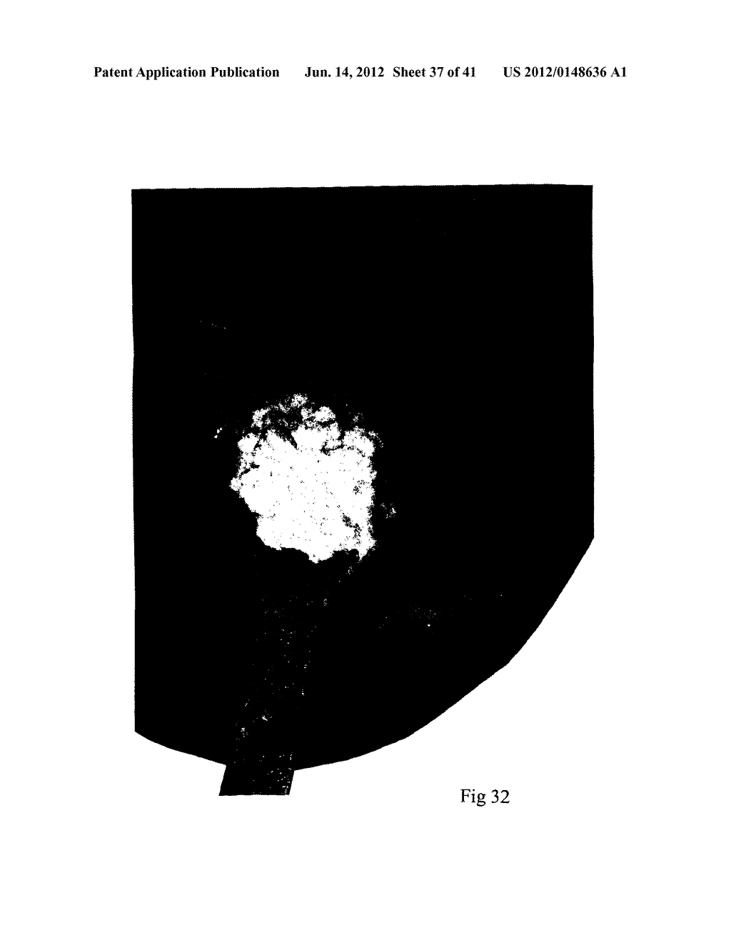 MICROPARTICLES AND METHOD OF MAKING MICROPARTICLES - diagram, schematic, and image 38