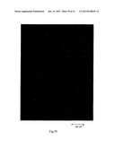 MICROPARTICLES AND METHOD OF MAKING MICROPARTICLES diagram and image