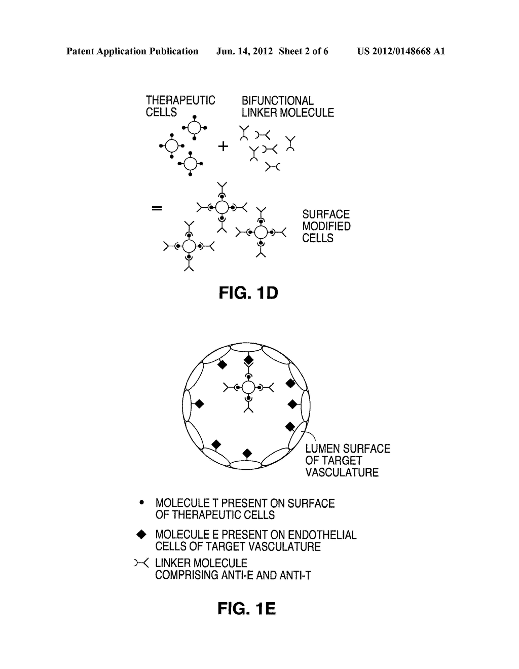 INTRACORONARY DEVICE AND METHOD OF USE THEREOF - diagram, schematic, and image 03