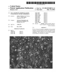 SELF-ASSEMBLING HYDROGELS BASED ON DICEPHALIC PEPTIDE AMPHIPHILES diagram and image