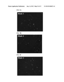 SELF-ASSEMBLING HYDROGELS BASED ON DICEPHALIC PEPTIDE AMPHIPHILES diagram and image