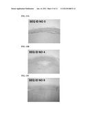 SELF-ASSEMBLING HYDROGELS BASED ON DICEPHALIC PEPTIDE AMPHIPHILES diagram and image