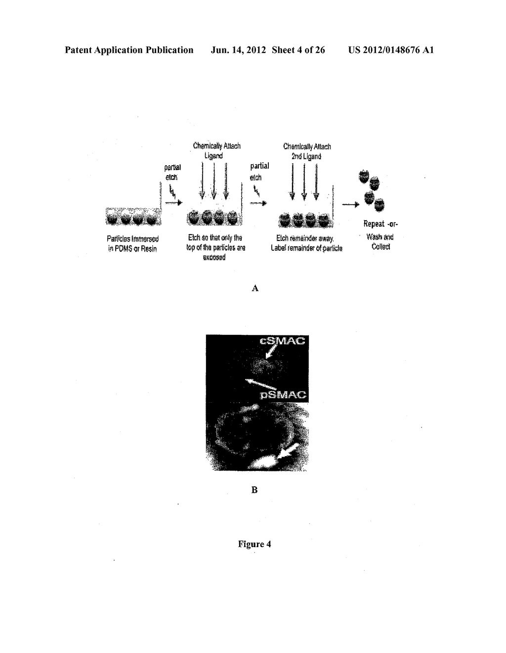 ARTIFICIAL CELL CONSTRUCTS FOR CELLULAR MANIPULATION - diagram, schematic, and image 05