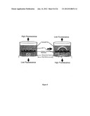 ARTIFICIAL CELL CONSTRUCTS FOR CELLULAR MANIPULATION diagram and image