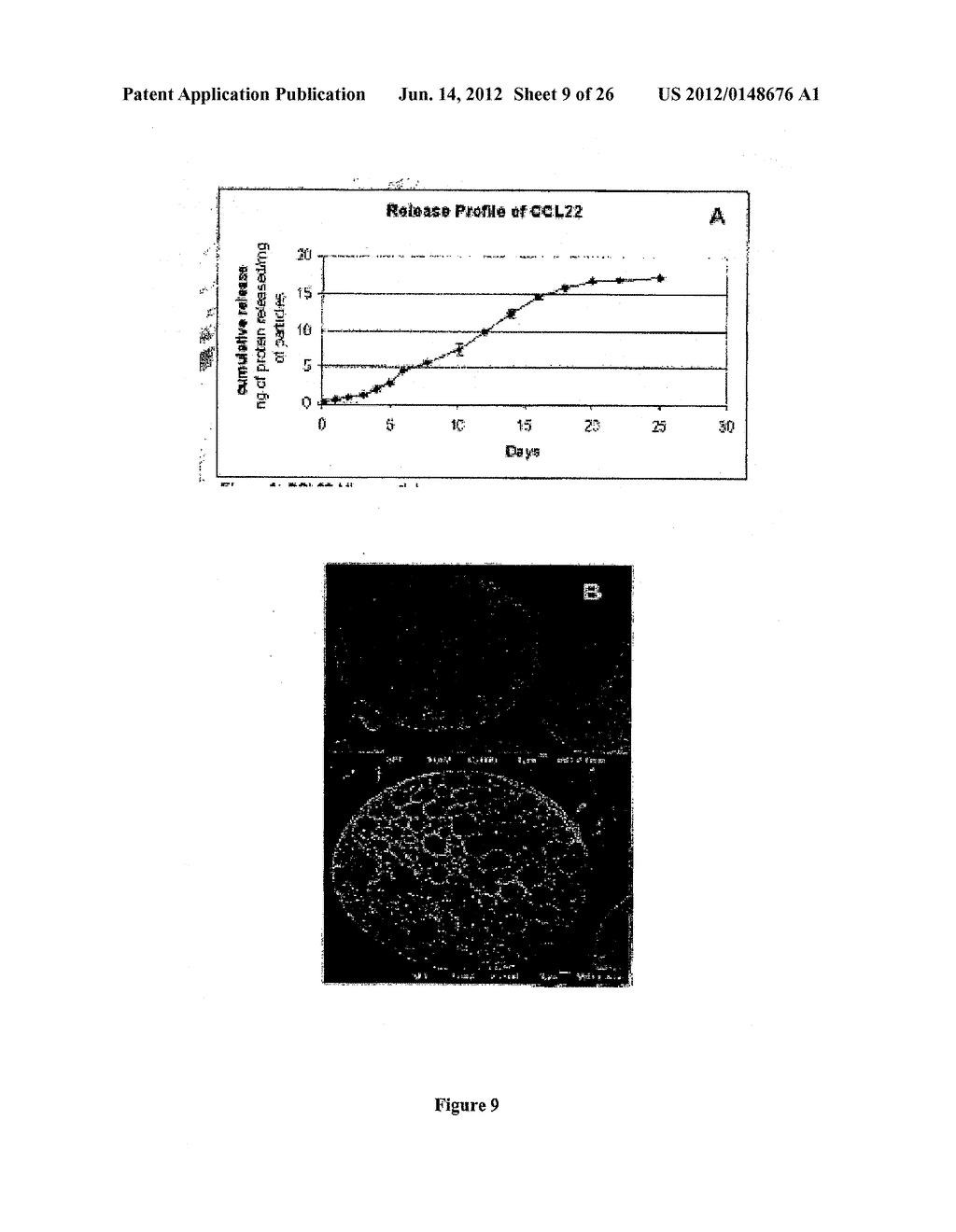 ARTIFICIAL CELL CONSTRUCTS FOR CELLULAR MANIPULATION - diagram, schematic, and image 10