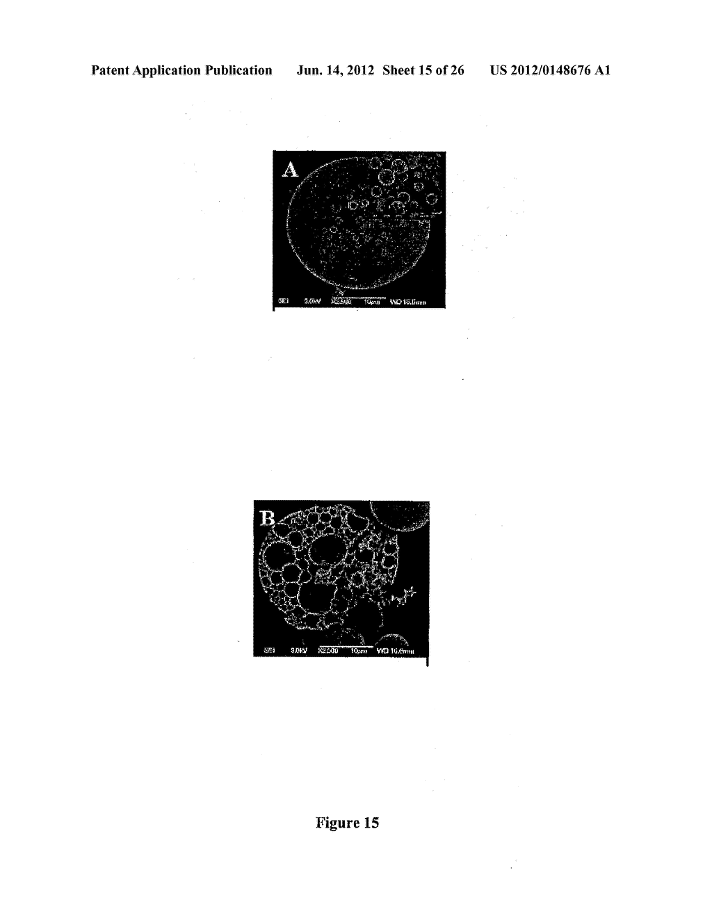 ARTIFICIAL CELL CONSTRUCTS FOR CELLULAR MANIPULATION - diagram, schematic, and image 16