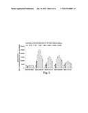 Peptides and peptide compositions having osteoinductive activity diagram and image