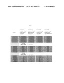 METHOD OF IMPROVING SKIN REGENERATION EFFECT OF MEDICINAL MATERIALS BY     DOUBLE BOILING USING EARTHENWARE POT diagram and image