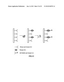 Biochip Array with a Three-Dimensional Structure and Method for Forming     the Same diagram and image