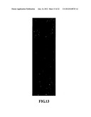 Biochip Array with a Three-Dimensional Structure and Method for Forming     the Same diagram and image