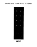 Biochip Array with a Three-Dimensional Structure and Method for Forming     the Same diagram and image