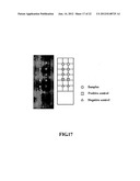 Biochip Array with a Three-Dimensional Structure and Method for Forming     the Same diagram and image