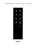 Biochip Array with a Three-Dimensional Structure and Method for Forming     the Same diagram and image