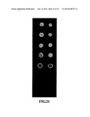 Biochip Array with a Three-Dimensional Structure and Method for Forming     the Same diagram and image