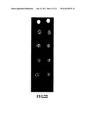 Biochip Array with a Three-Dimensional Structure and Method for Forming     the Same diagram and image