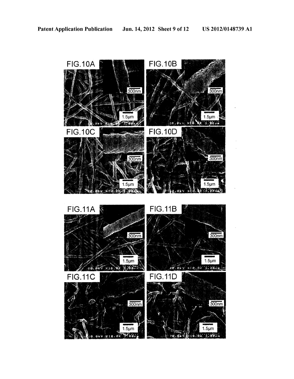 METHOD FOR MANUFACTURING METAL NANOSTRUCTURE AND METAL NANOSTRUCTURE     MANUFACTURED BY THE METHOD - diagram, schematic, and image 10