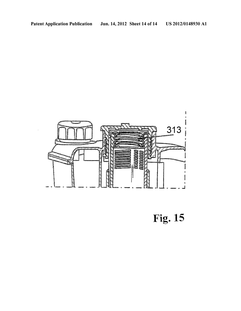 Cooling Device for a Functional System - diagram, schematic, and image 15