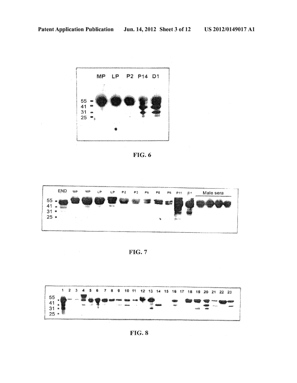 DIAGNOSTIC MARKERS OF HUMAN FEMALE INFERTILITY - diagram, schematic, and image 04