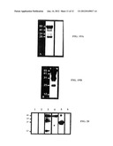 DIAGNOSTIC MARKERS OF HUMAN FEMALE INFERTILITY diagram and image