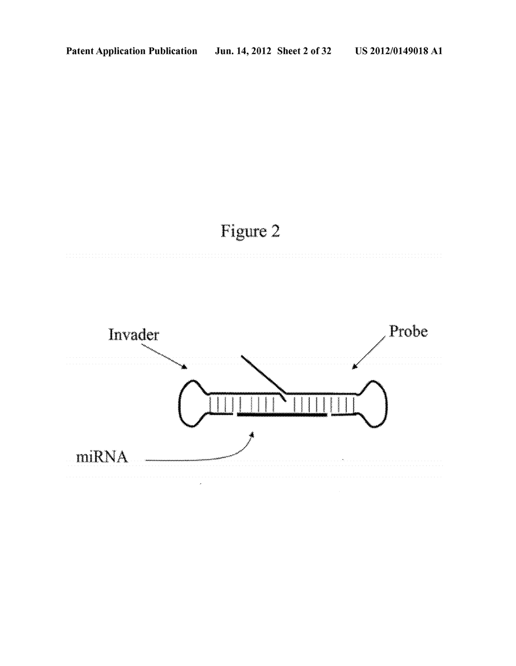 Detection of Small Nucleic Acids - diagram, schematic, and image 03