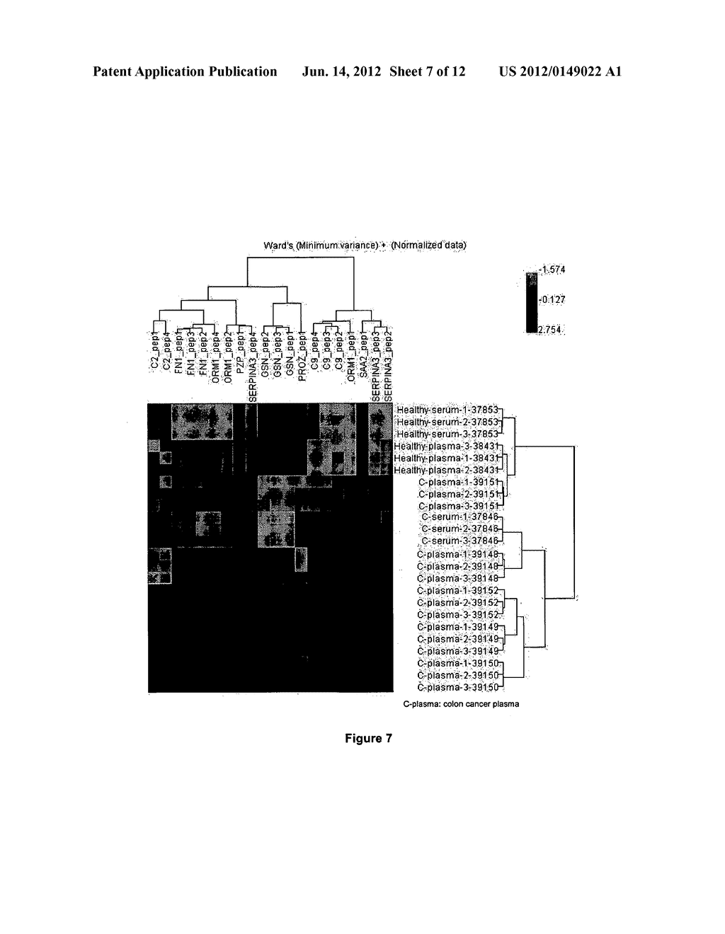 COMPOSITIONS AND METHODS FOR DIAGNOSIS AND PROGNOSIS OF COLORECTAL CANCER - diagram, schematic, and image 08