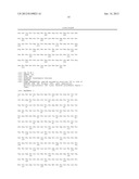 ENGINEERED DEMETER 5-METHYLCYTOSINE DNA GLYOSYLASE WITH IMPROVED YIELD,     STABILITY AND SOLUBILITY diagram and image