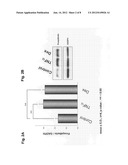 INSULIN RESISTANCE MARKER diagram and image