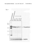 INSULIN RESISTANCE MARKER diagram and image