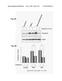 INSULIN RESISTANCE MARKER diagram and image