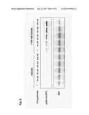 INSULIN RESISTANCE MARKER diagram and image