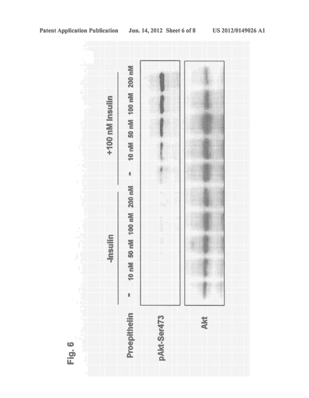 INSULIN RESISTANCE MARKER - diagram, schematic, and image 07