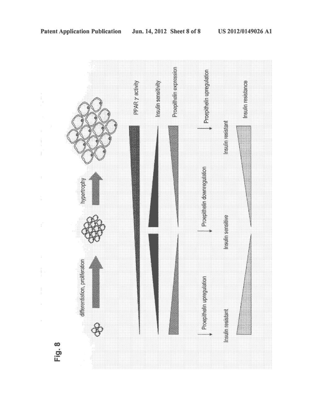 INSULIN RESISTANCE MARKER - diagram, schematic, and image 09