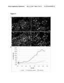 DETECTION AND VISUALIZATION OF THE CELL CYCLE IN LIVING CELLS diagram and image