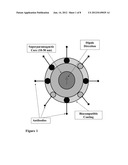 Magnetic Needle Biopsy diagram and image