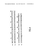 INHIBITION OF MIGRATION INHIBITORY FACTOR IN THE TREATMENT OF DISEASES     INVOLVING CYTOKINE-MEDIATED TOXICITY diagram and image