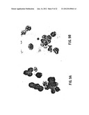 INHIBITION OF MIGRATION INHIBITORY FACTOR IN THE TREATMENT OF DISEASES     INVOLVING CYTOKINE-MEDIATED TOXICITY diagram and image