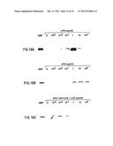 INHIBITION OF MIGRATION INHIBITORY FACTOR IN THE TREATMENT OF DISEASES     INVOLVING CYTOKINE-MEDIATED TOXICITY diagram and image